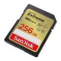 Karta pamięci SANDISK EXTREME SDXC 256 GB 180/130 MB/s UHS-I U3 (SDSDXVV-256G-GNCIN)